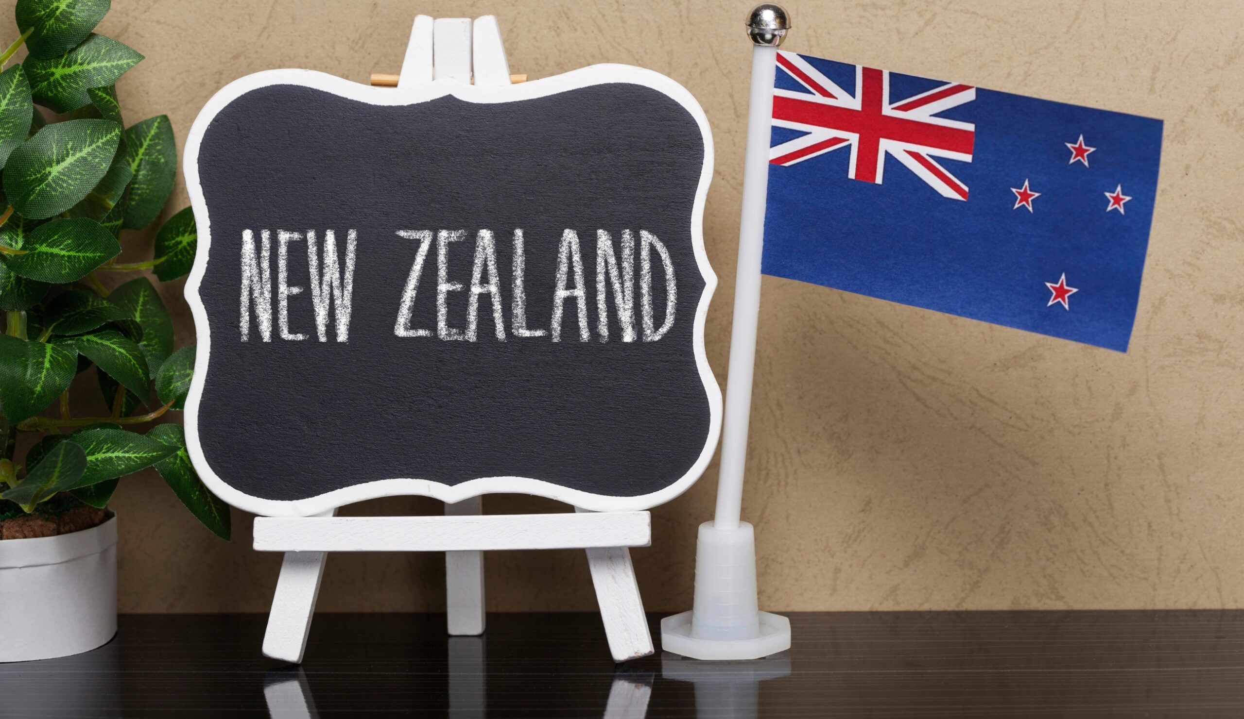ニュージーランド留学の第一歩